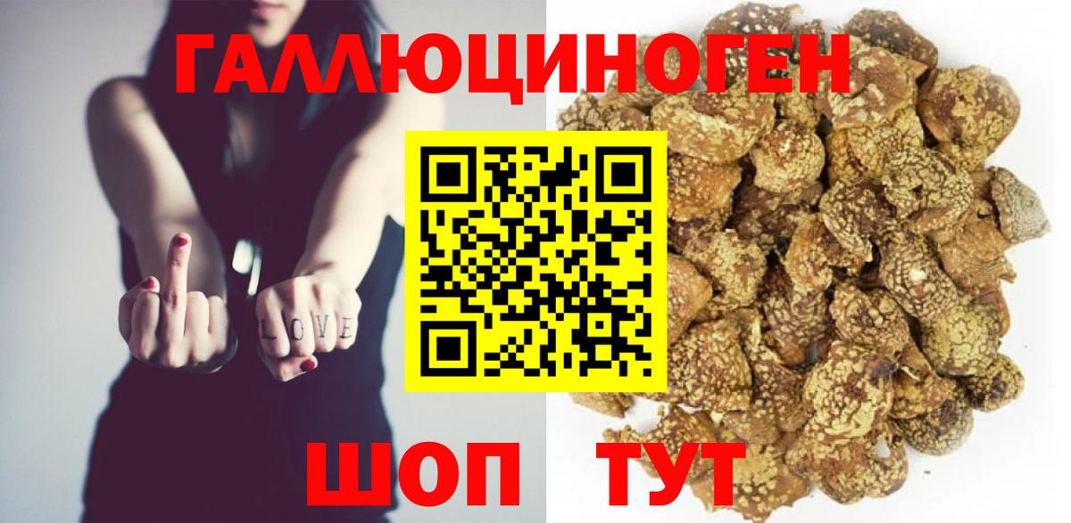 Галлюциногенные грибы Psilocybe  Галлюциногенные грибы мицелий  Краснознаменск  Вход с VPN 